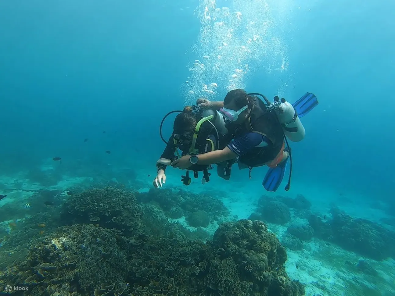 麦克坦 PADI 高级 OWD 与 PADI 5 星级 IDC 度假村