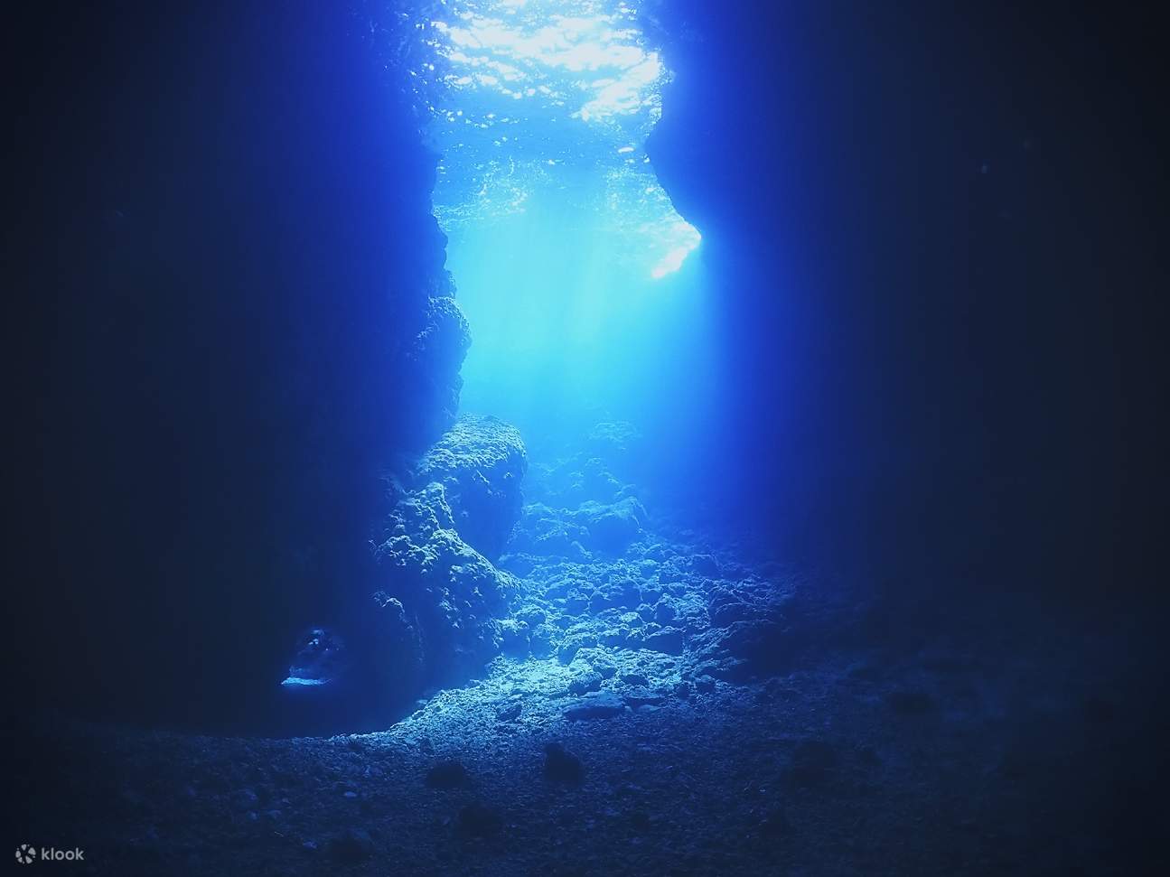 【韓国語ツアー】沖縄青の洞窟ファンダイビング（ボートエントリー／写真無料／ライセンス不要）