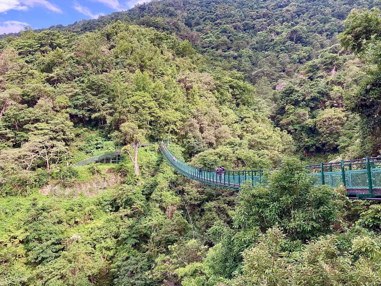 黑熊森林踏查｜台湾黑熊栖地生态解说一日游
