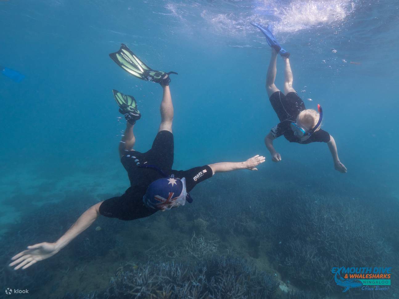Schnorchelkurs Ningaloo Reef