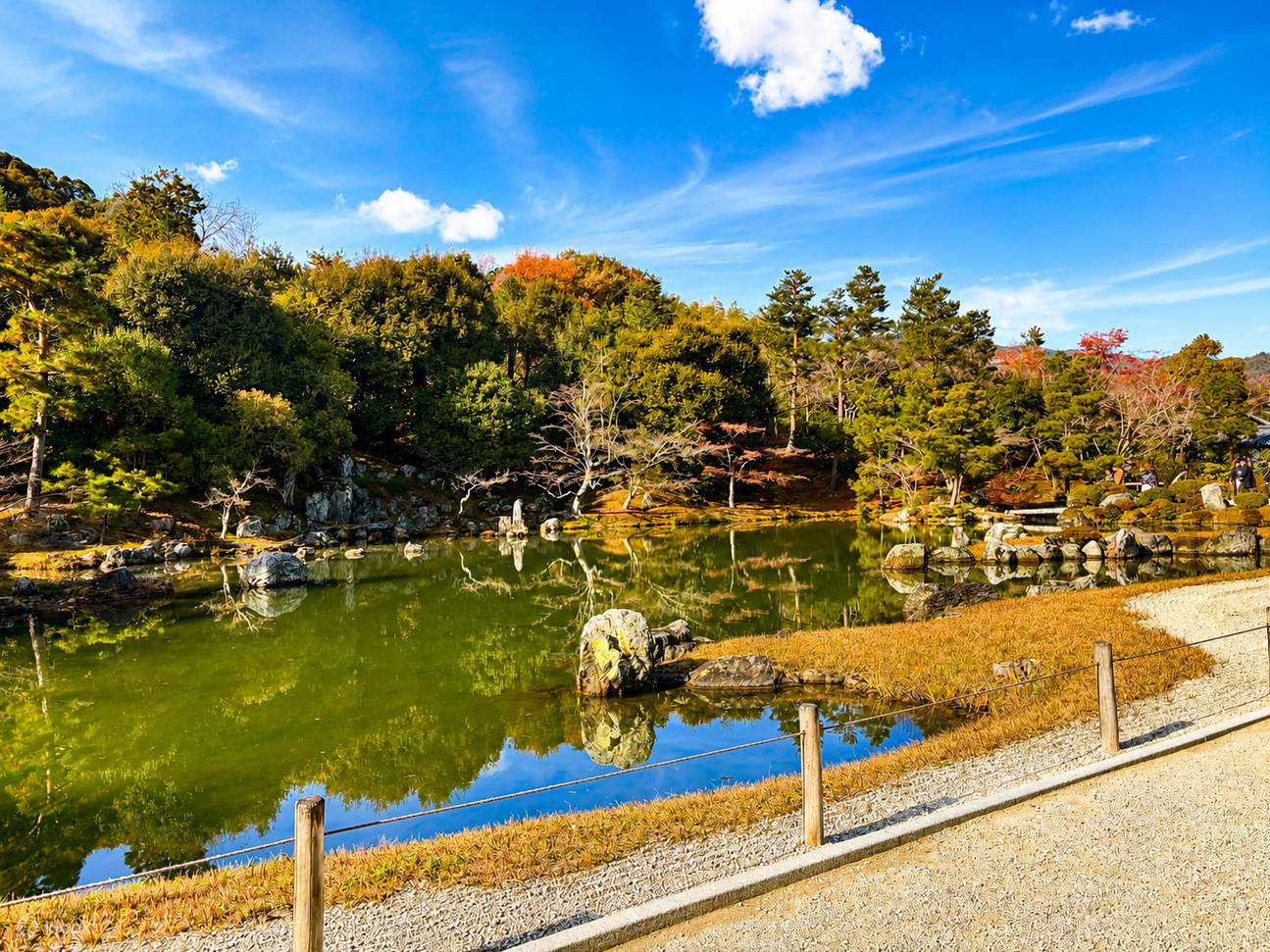 Arashiyama Bamboo Forest & Nara Park Deer & Fushimi Inari Shrine Torii ...