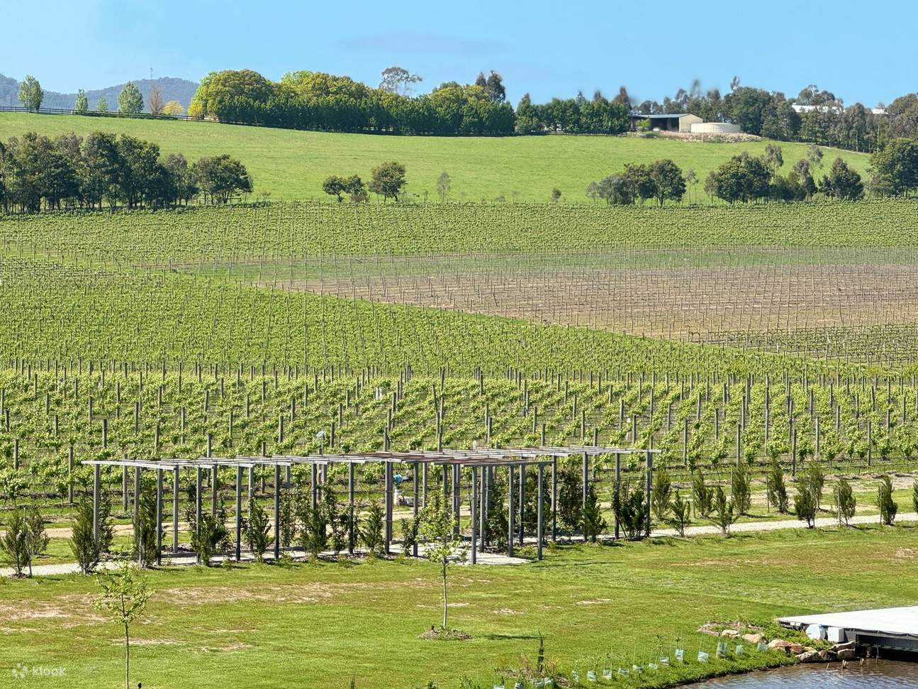 Weinproben Yarra Valley Touren ab Melbourne