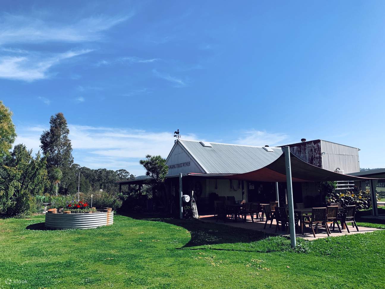 Wine Tasting in Hunter Valley by Hanging Tree Wines Klook, Vereinigte