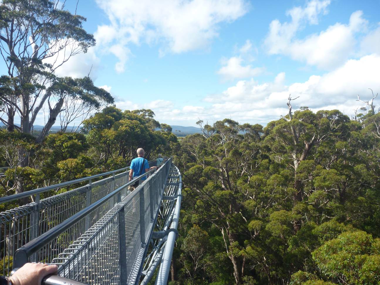 4 Day Albany, ANZAC Tree Top Walk & Margaret River Tour Klook