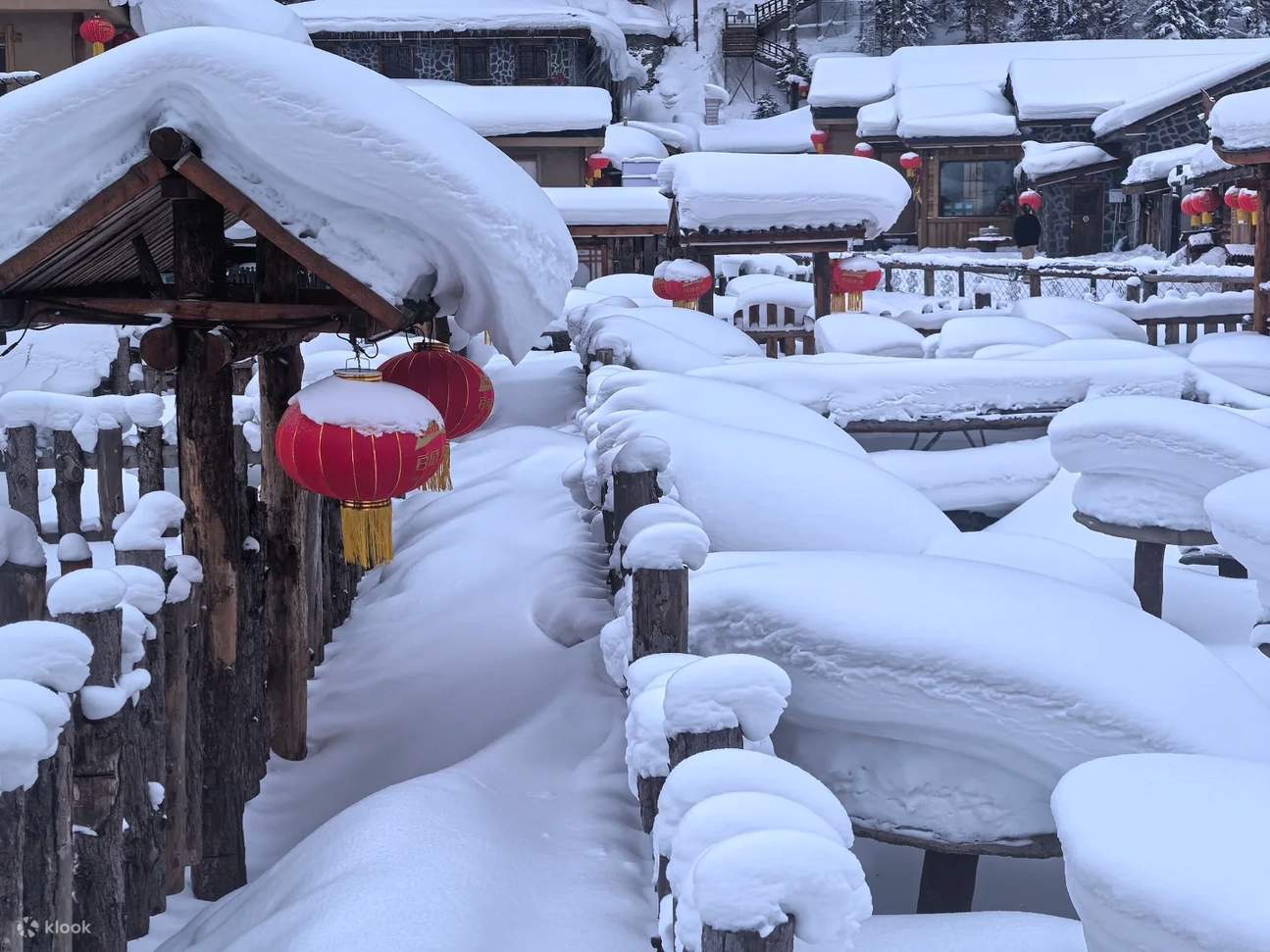 Thuê xe riêng 3 ngày 2 đêm tuyến Cáp Nhĩ Tân & Á Bố Lực & Tuyết Hương