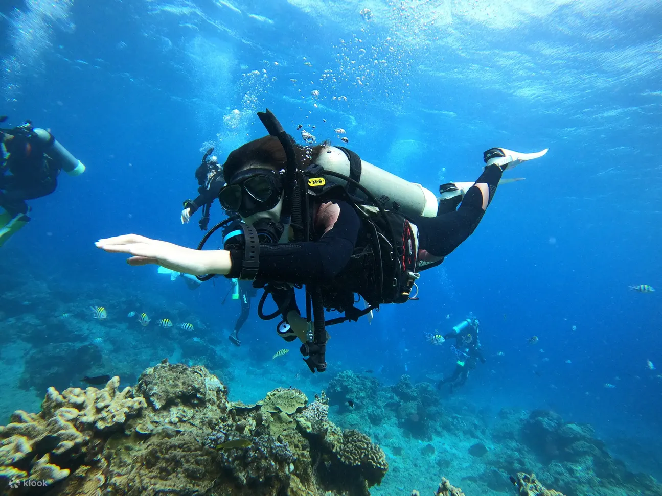 【绿岛潜水证照】蓝莎潜水4天3夜 PADI Open Water 初阶开放水域潜水员课程