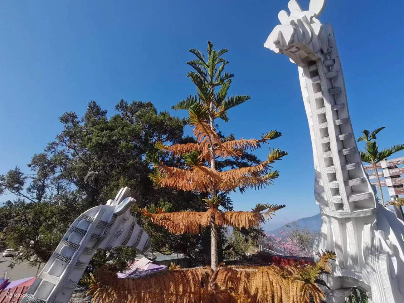 Nantou｜Cingjing Carton King｜Train Experience Coupon・Package - Klook