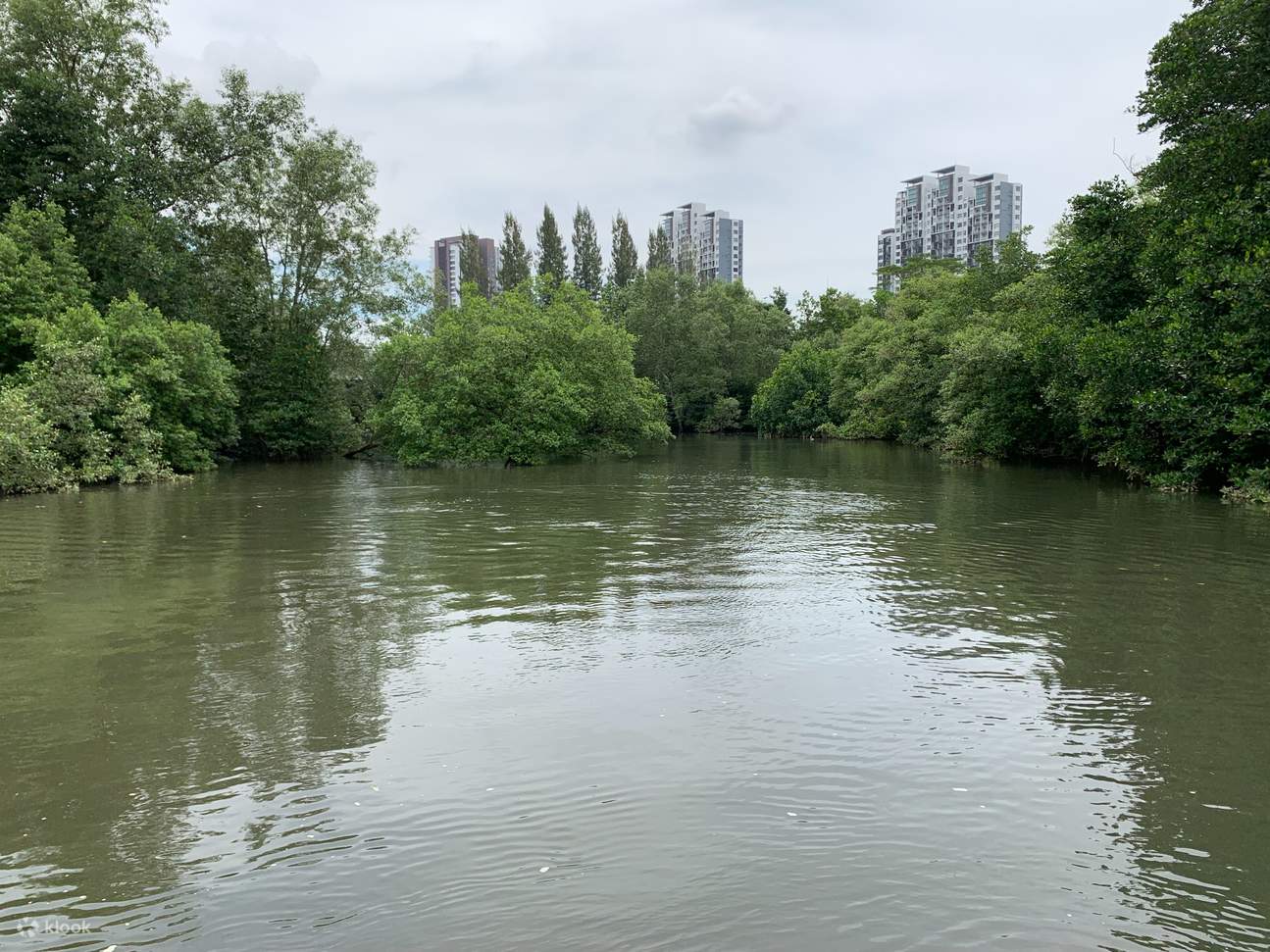 Aussicht während des Kreuzfahrterlebnisses