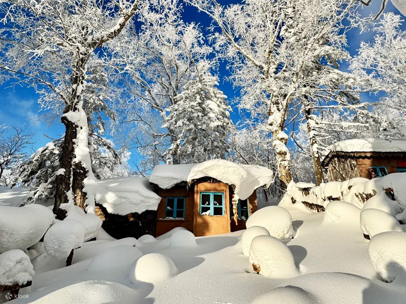 Snow Gallery Harbin & Snow Town 2-Day Tour - Klook Australia