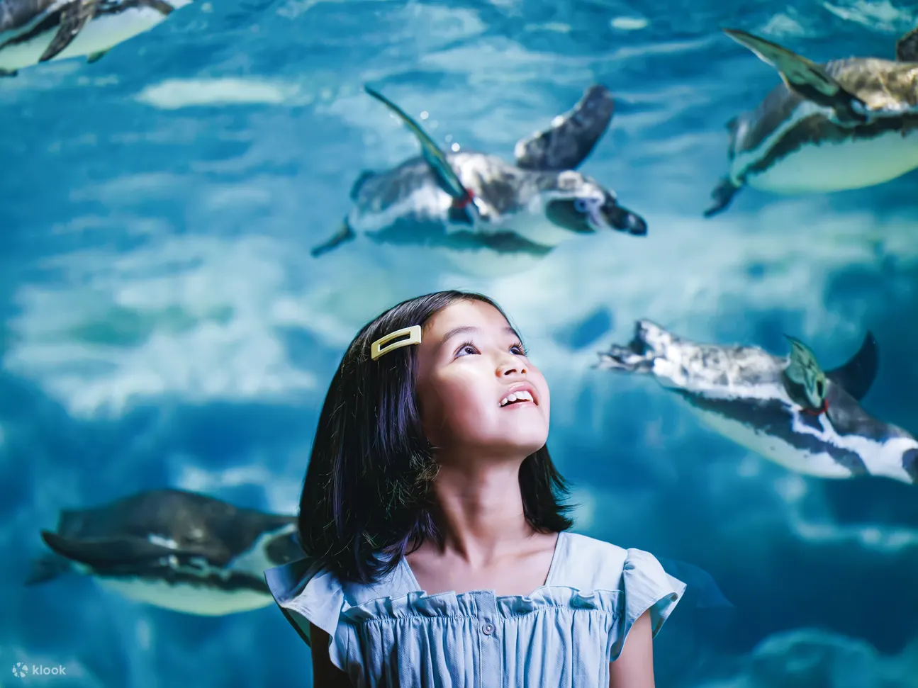 冲绳 DMM Kariyushi 水族馆门票