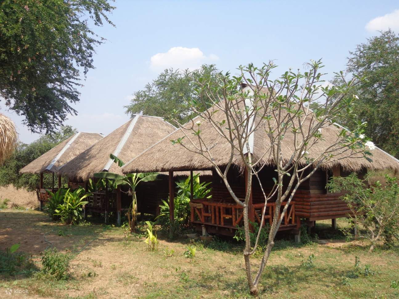 Penginapan ElephantsWorld di Kanchanaburi