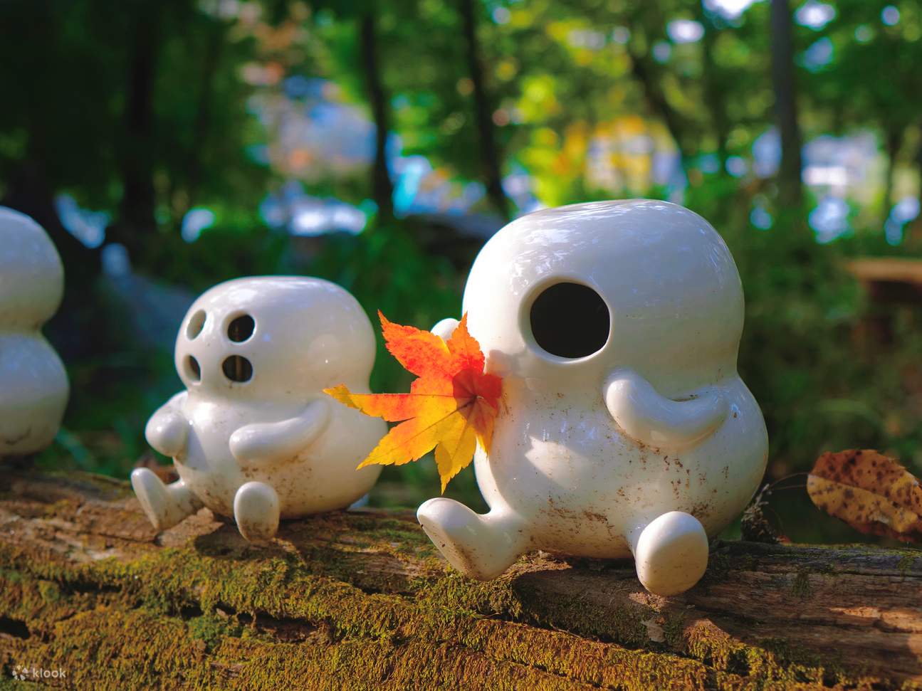 Билет на остров Нами