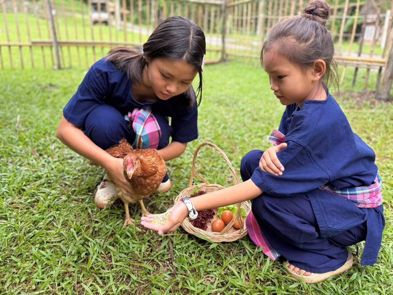 Penerokaan Kehidupan Ladang Setengah/Sehari Penuh Dari Tanah ke Meja