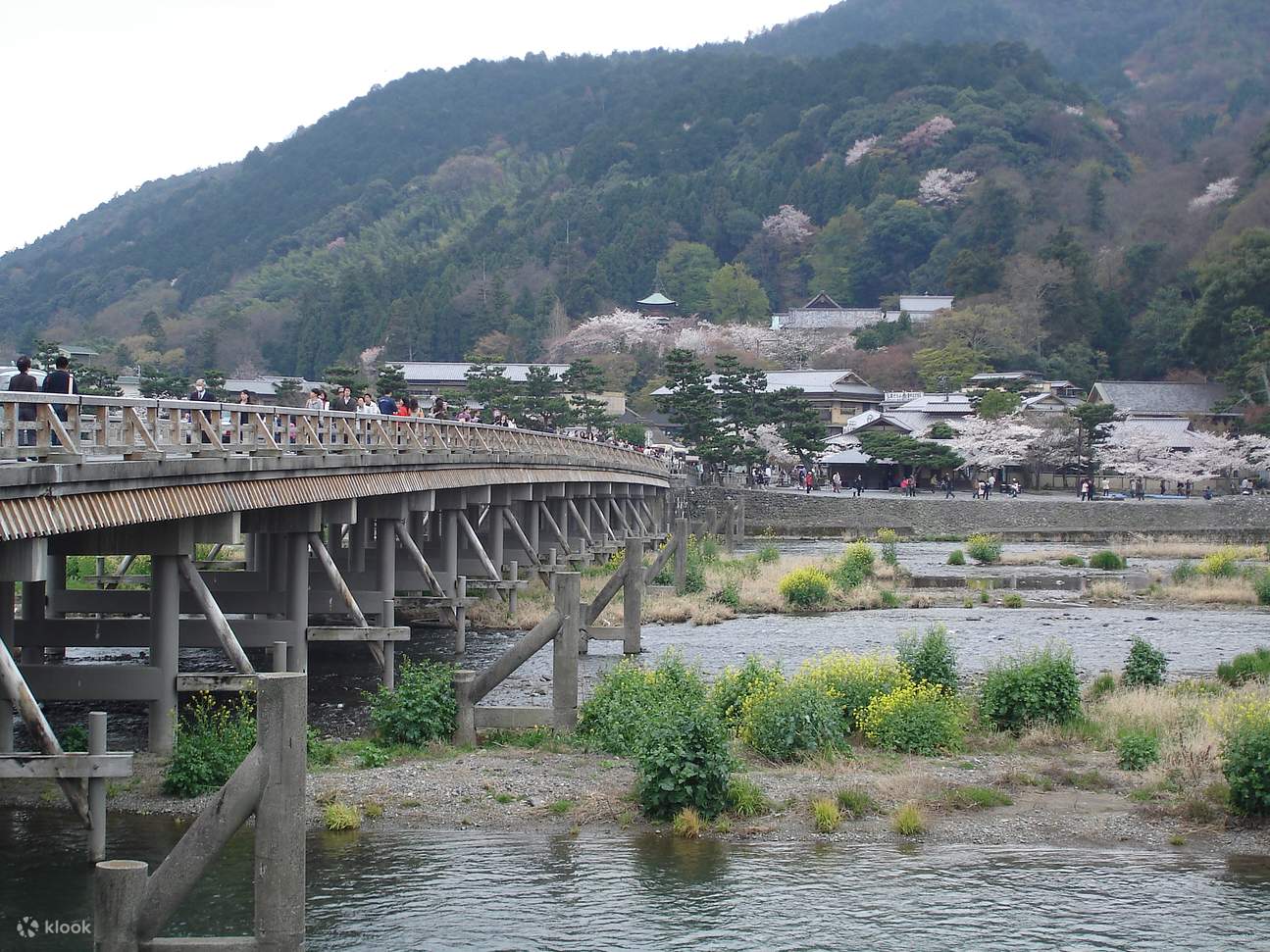 探索嵐山竹林，感受正宗禪意