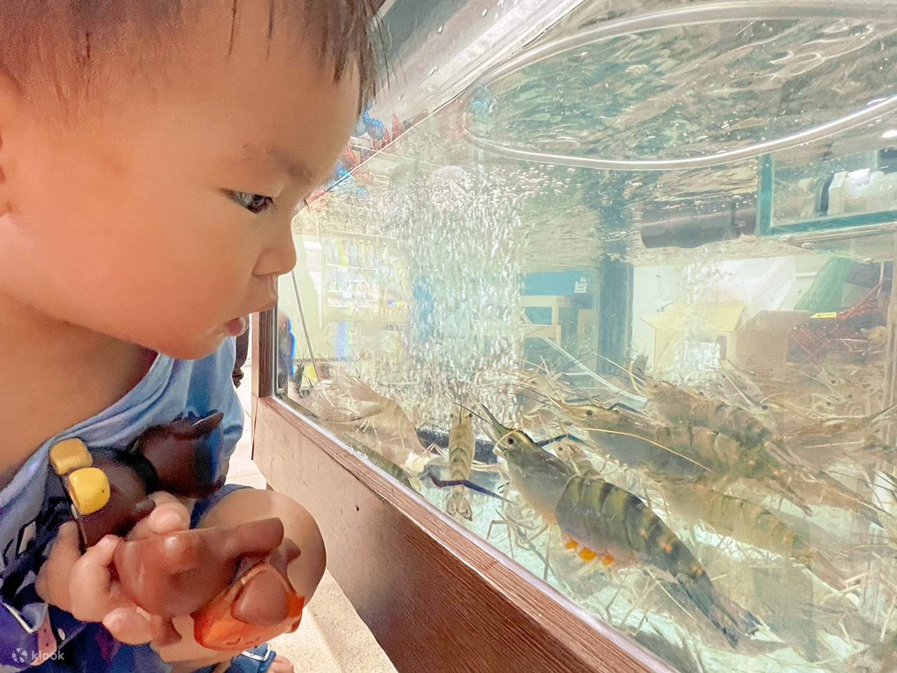 Xinzhuang: Letian Gamberetti da Pesca - Paradiso per famiglie con pesca di gamberetti, pesca di pesci e flipper