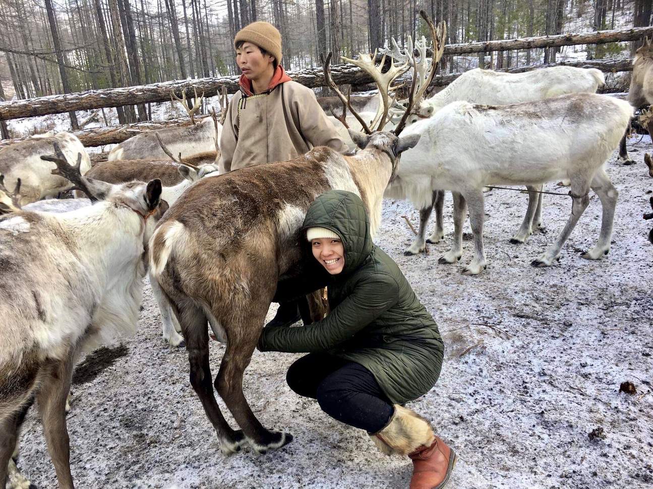 10D9N Reindeer Expedition in Northern Mongolia - 클룩 Klook 한국