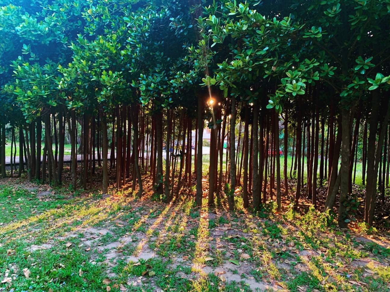 Museo dell'Acquedotto del Giardino di Shanshang di Tainan