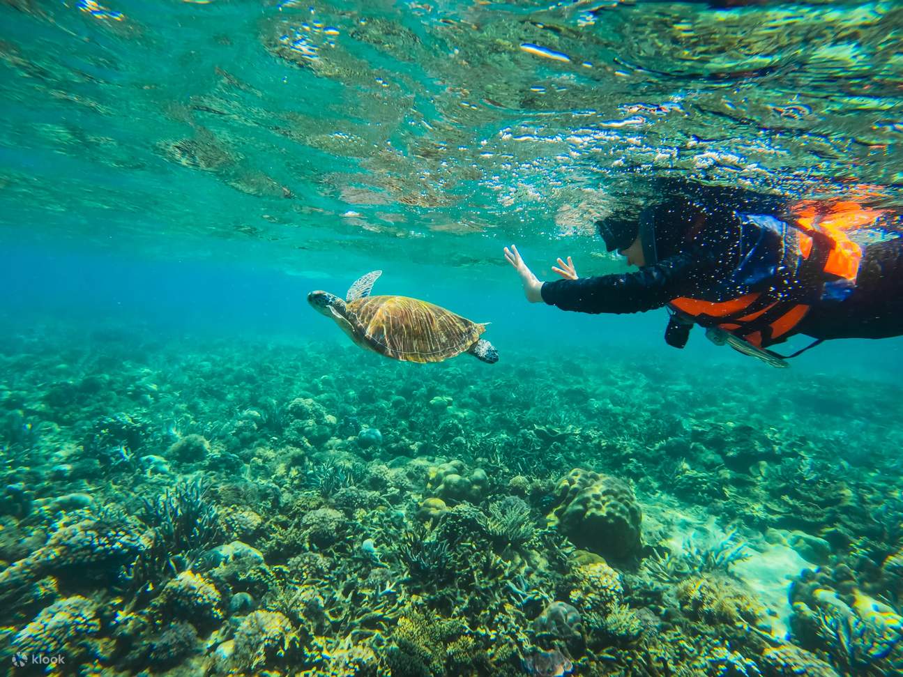 Excursion en bateau avec plongée en apnée à Kota Kinabalu, Sabah