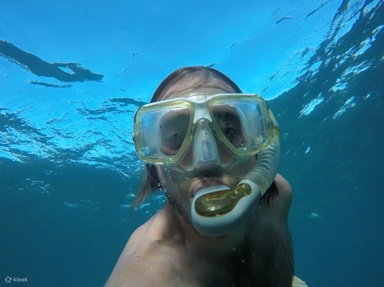 snorkeling