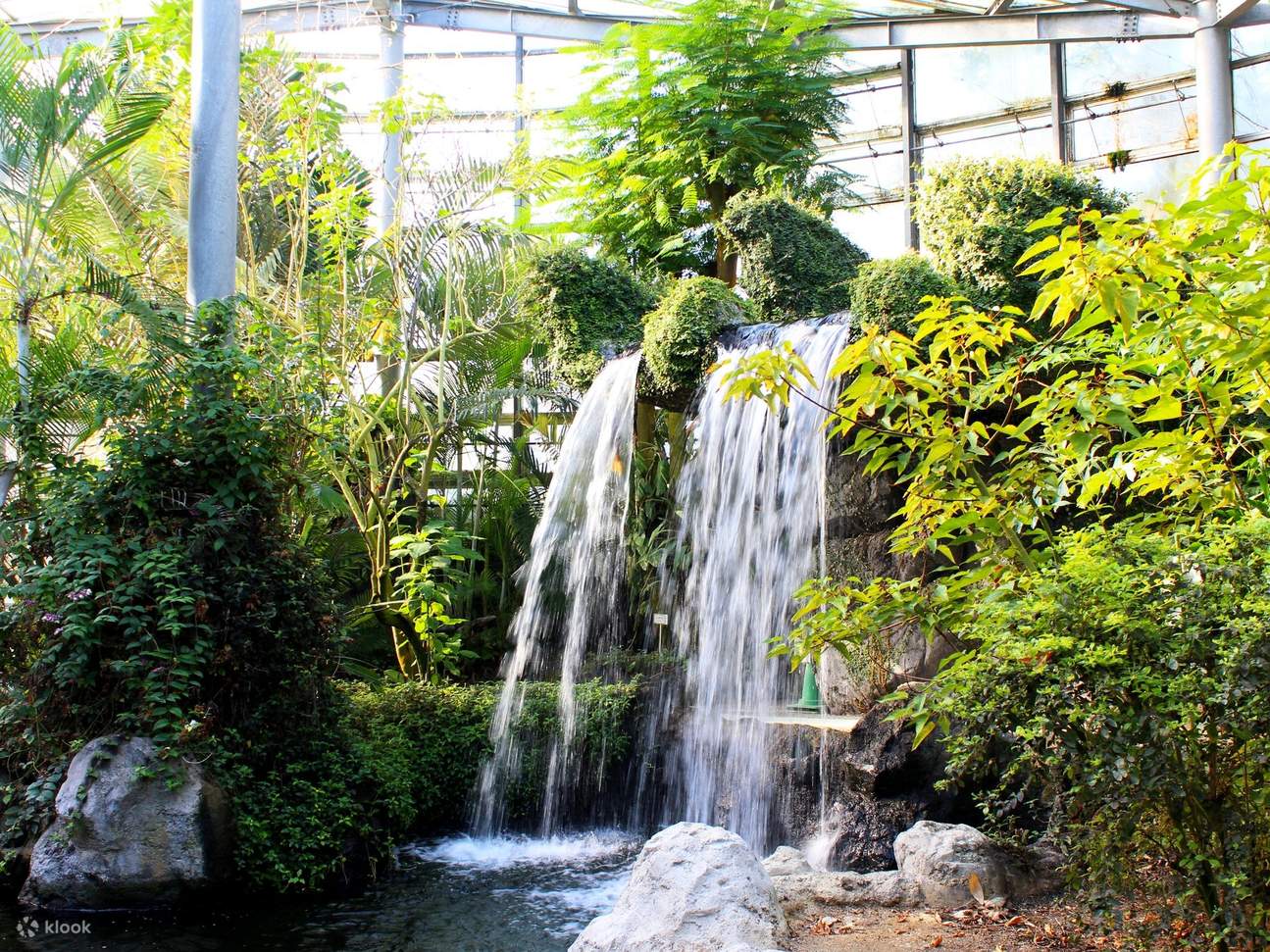 Kumamoto WakuWaku 1-Day Pass