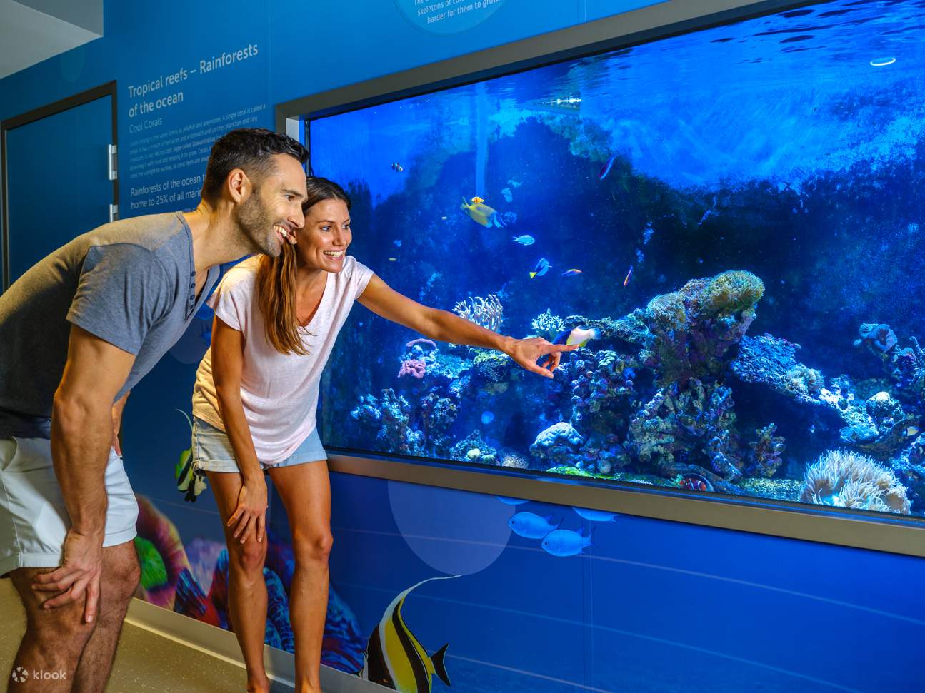 Vé Trung Tâm Khám Phá Cá Heo Ở Bunbury