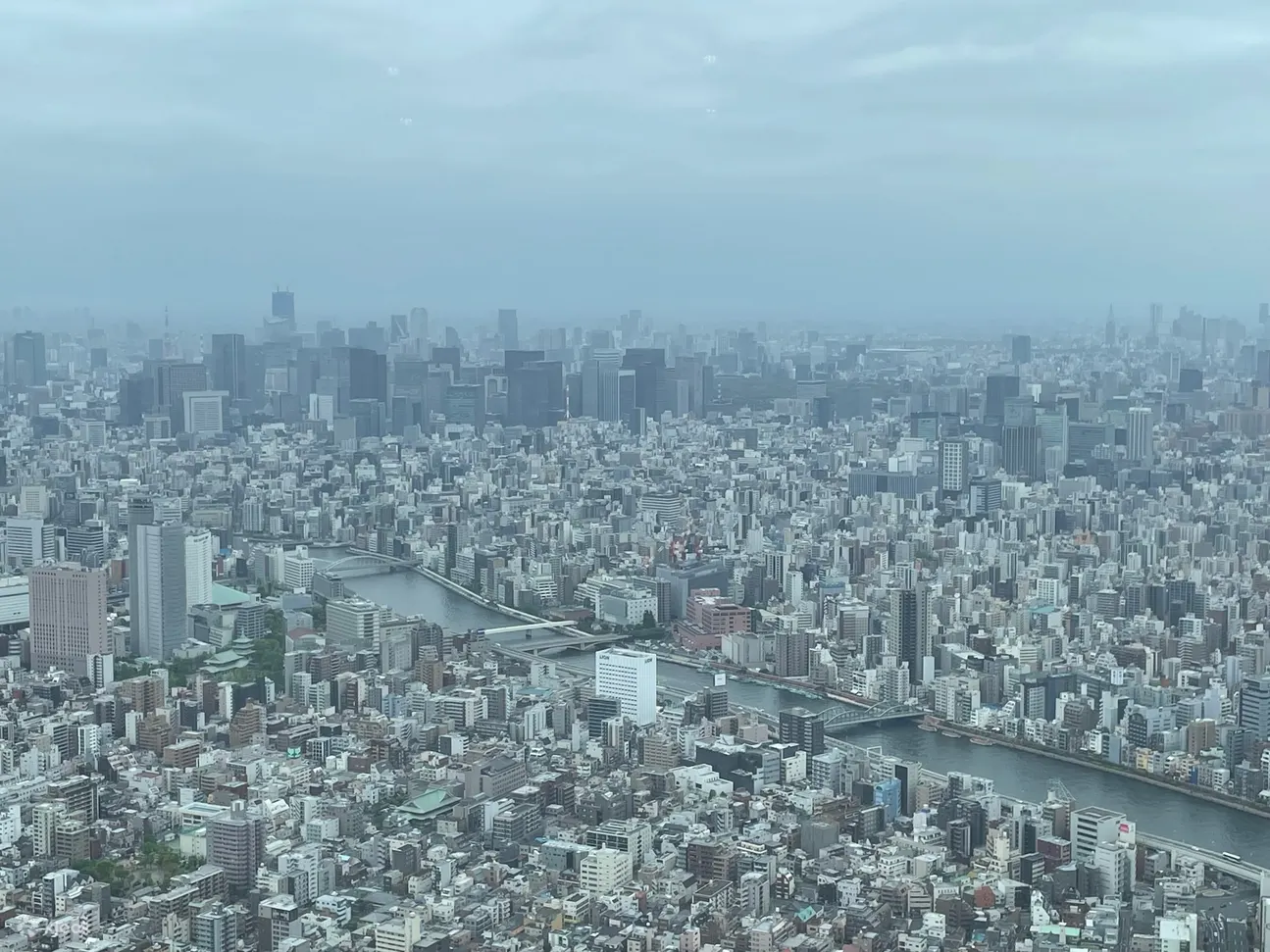 東京スカイツリー ひみつツアー 裏側 バックステージ を見学 Klook