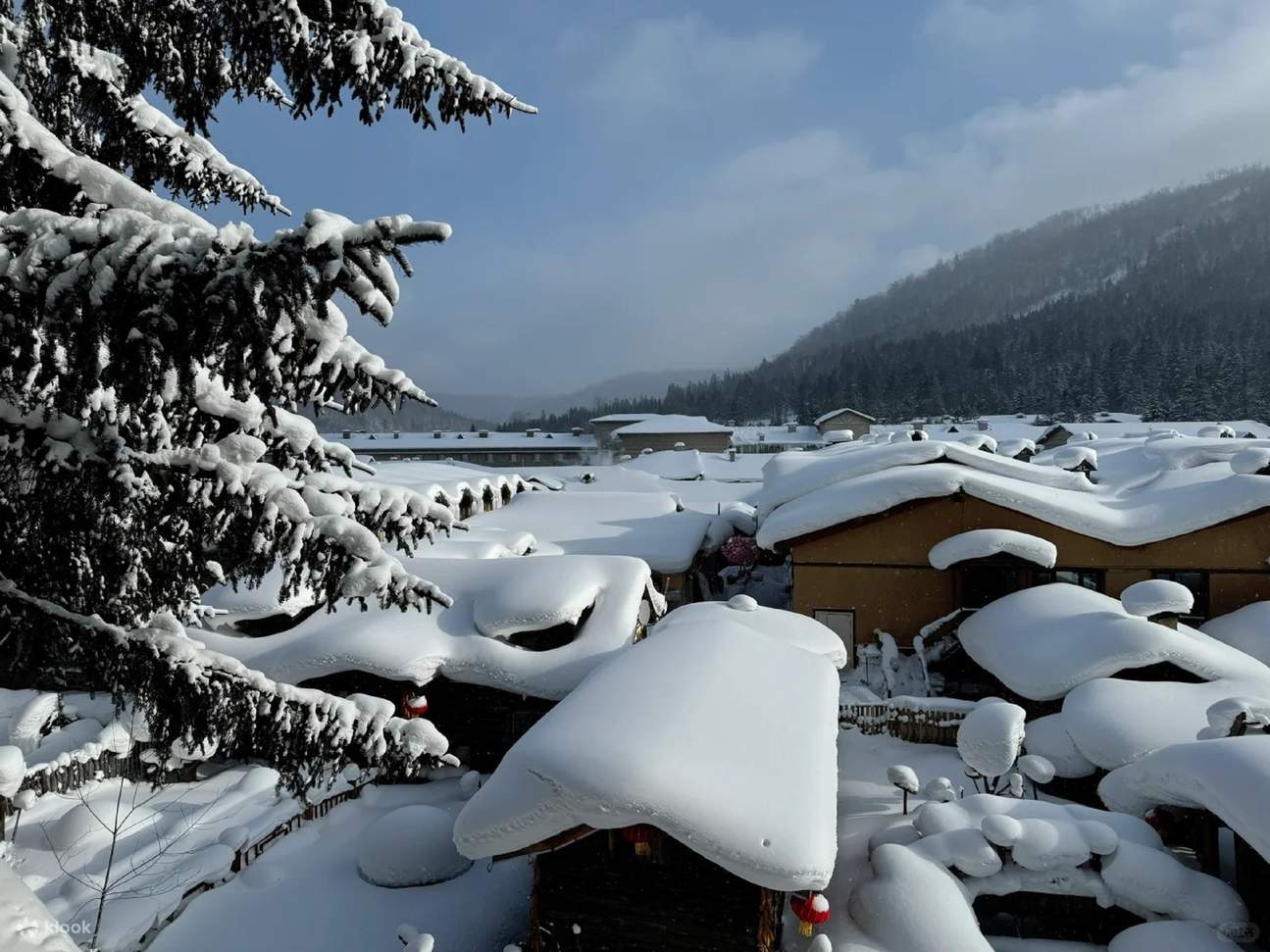 Profitez d'une journée à la découverte des lieux les plus emblématiques de Porto et Vila Nova de Gaia, à travers les yeux d'un guide local.

Disponibilité : Tous les jours de 10:00 à 19:00

Durée : Environ 8 heures.

Langues : Portugais, Anglais, Espagnol