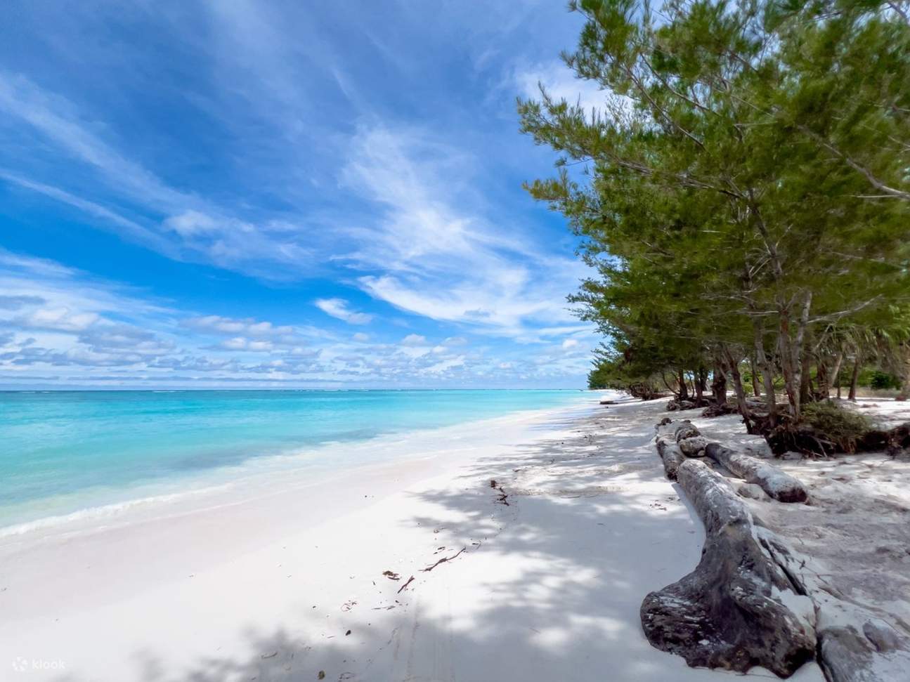 Tour Lặn ống thở trong ngày Sabah Magic Mengalum Kota Kinabalu