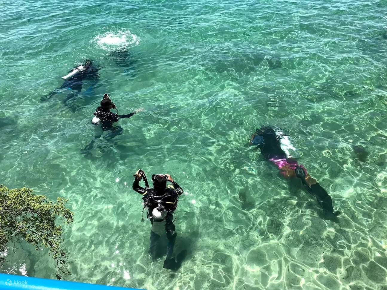 Experience the serenity of underwater training sessions in the sea, as you practice essential diving techniques in Mactan's calm and clear waters.
