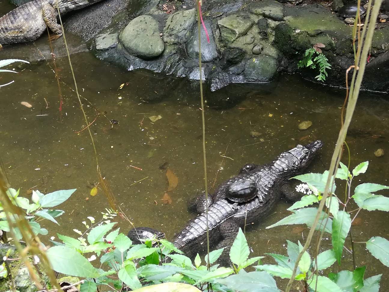 Zoori Residence Inn Tagaytay Philippines