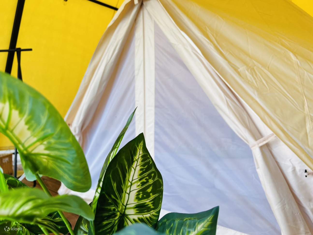 Khu cắm trại Dona Doru