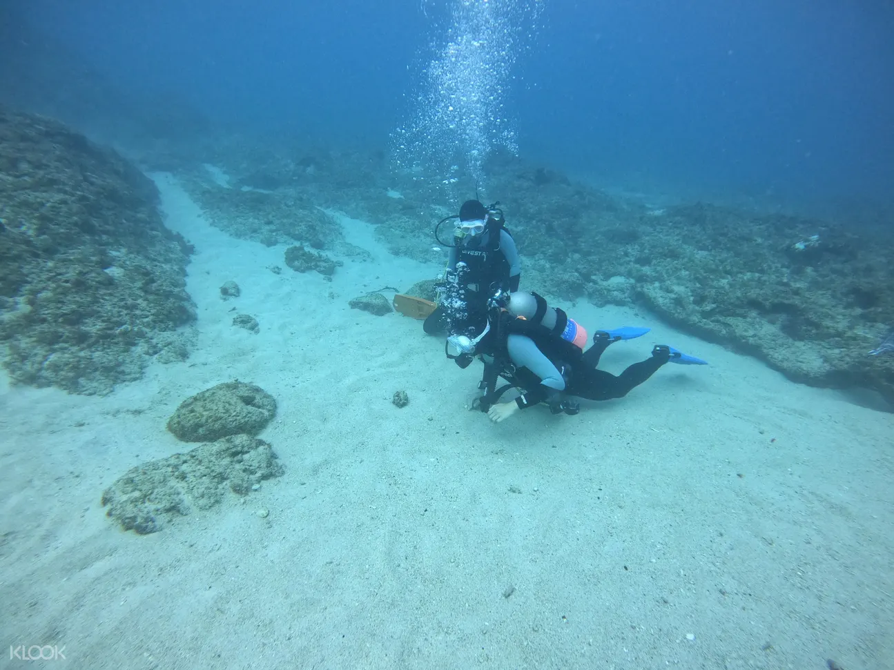 新北 貢寮龍洞鬥陣潛水 Ow Aow考照 自由潛水考照 潛水體驗 Klook客路