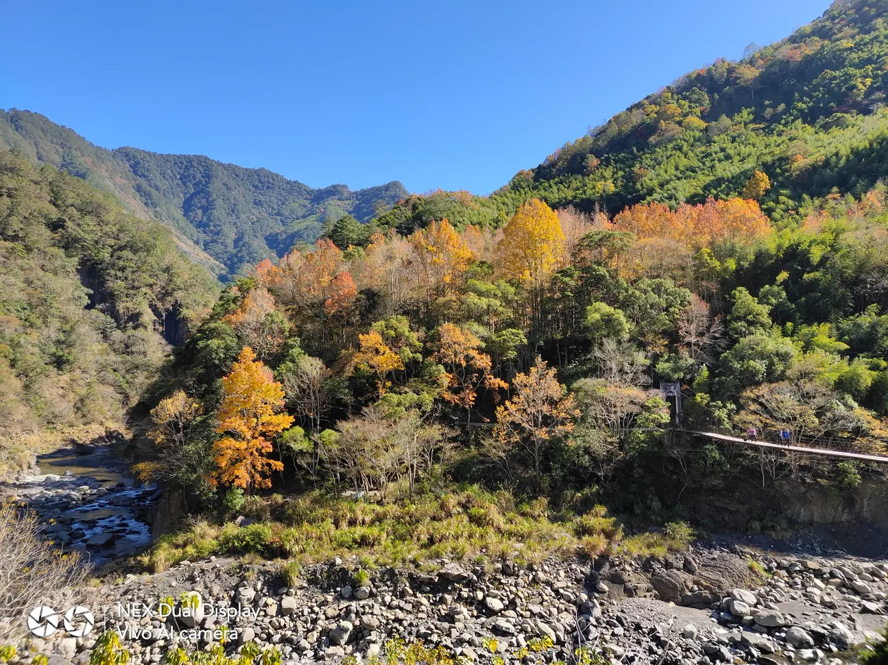 新竹 司馬庫斯 鎮西堡神木群2天1夜登山體驗 Klook客路台灣