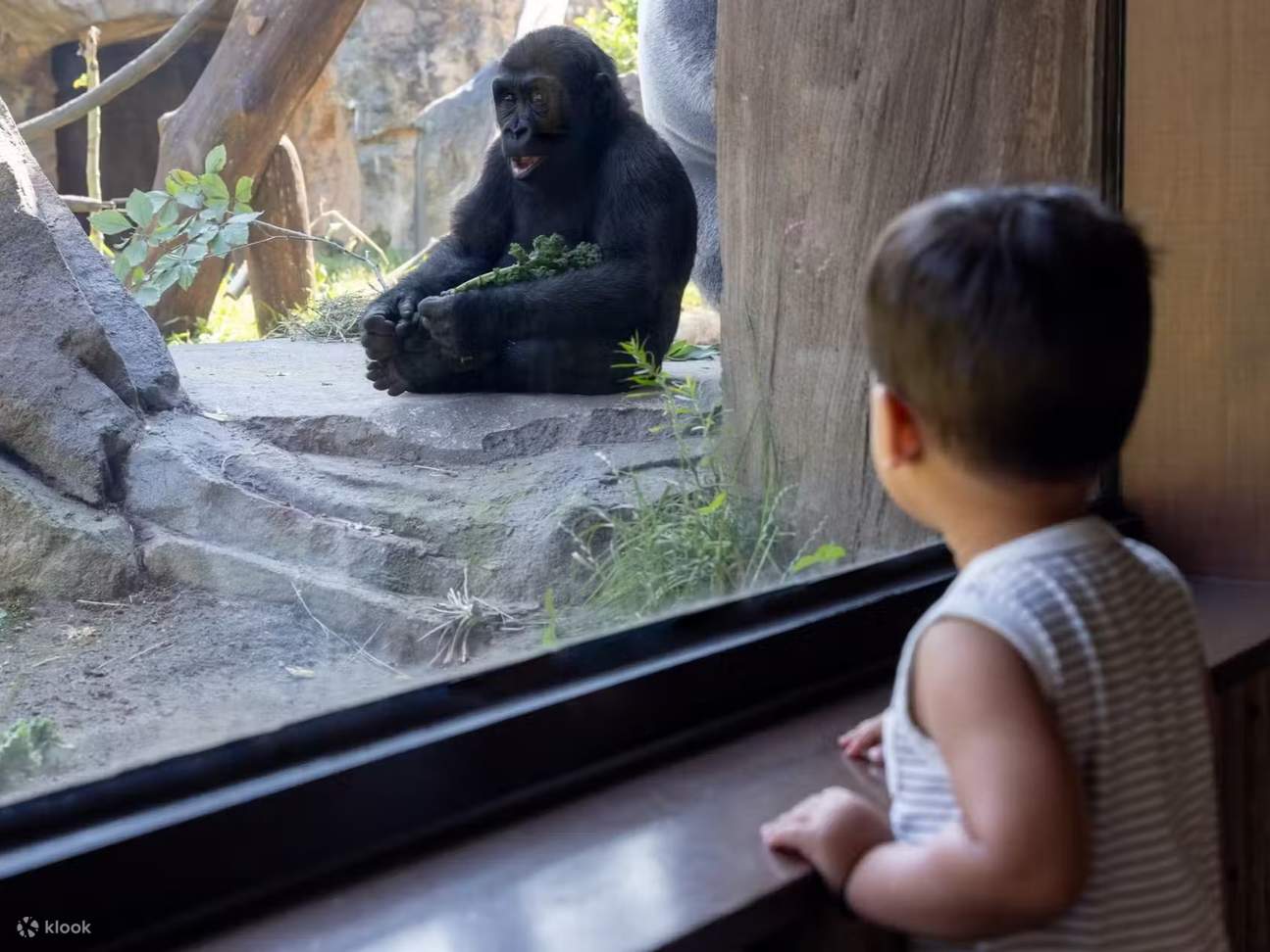 Admisión al zoológico Franklin Park