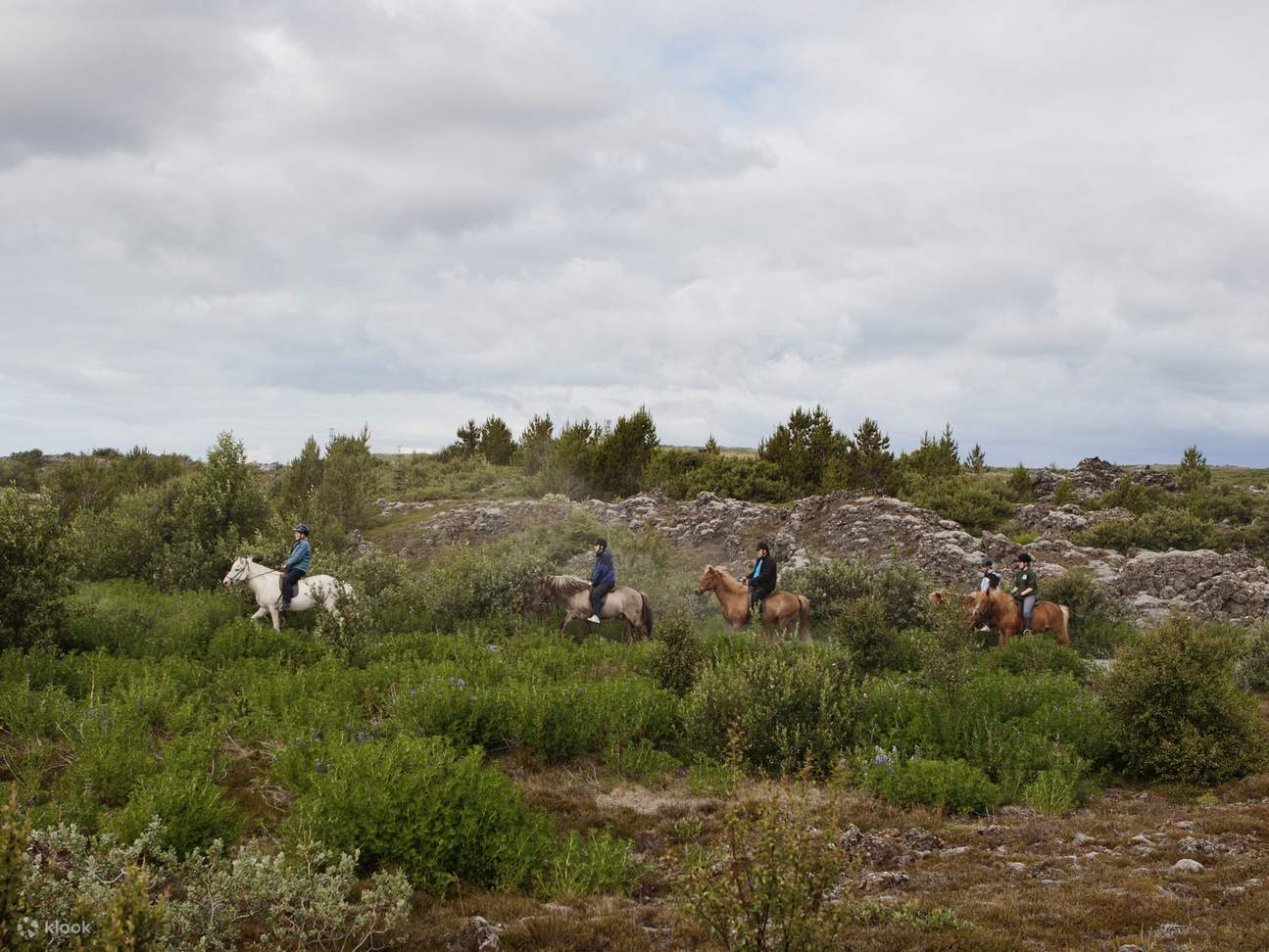 Beautiful landscapes and steady horses combine for an unforgettable equestrian adventure near Reykjavík