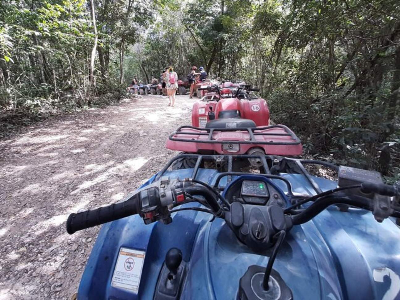 Tham gia chuyến phiêu lưu bằng xe ATV và bơi lội ở Cenote tại Mexico