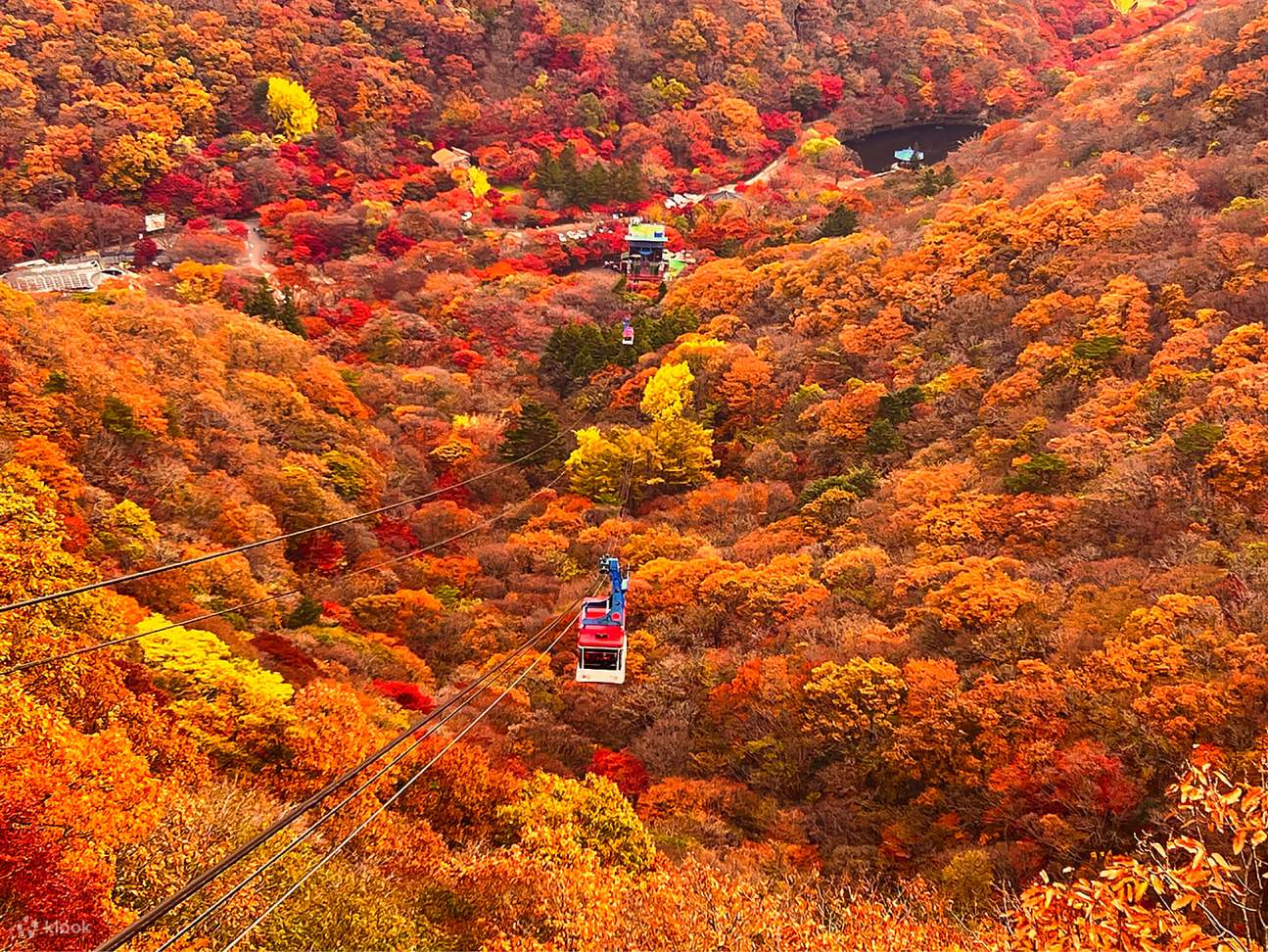 紅葉✨ 内蔵山国立公園 クラシック日帰りツアー（ソウル発） - Klook