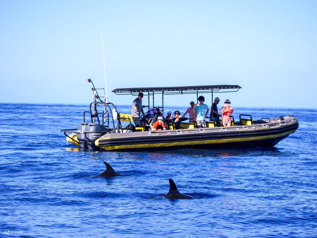 Los guías escanean el horizonte; es posible avistar ballenas entre las temporadas de diciembre y marzo.