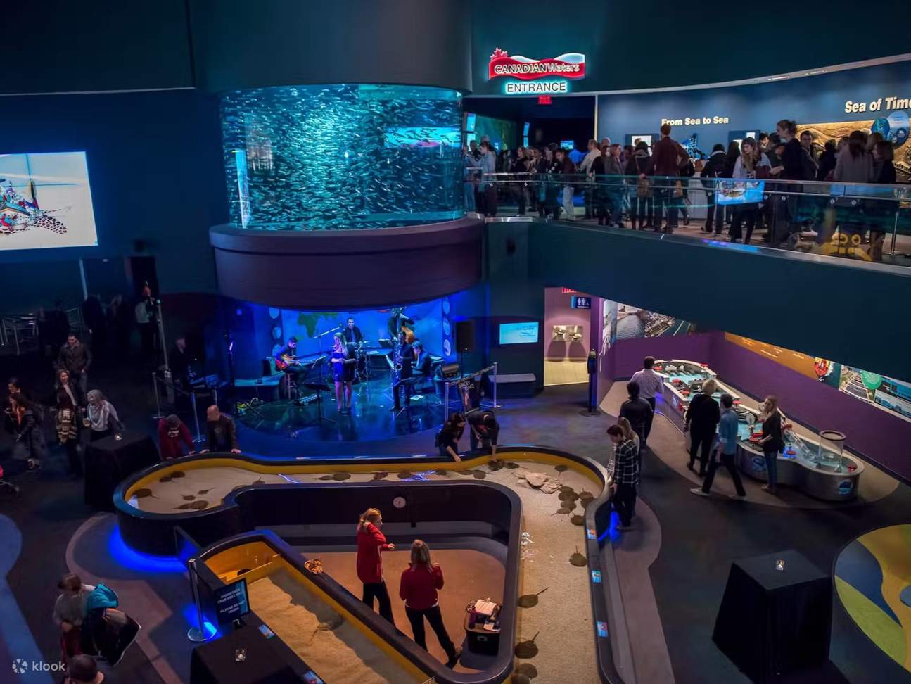 Ripley's Aquarium of Canada: Tiburones al caer la noche