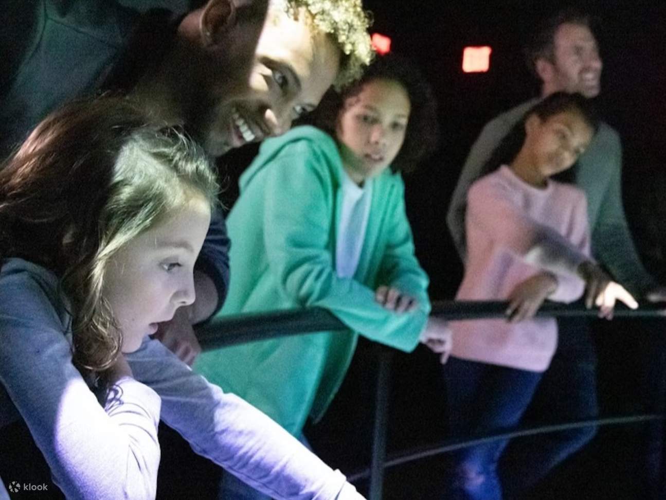 Selami suasana Chicago yang meriah sambil melayang di atas mercu tanda bandar yang terkemuka