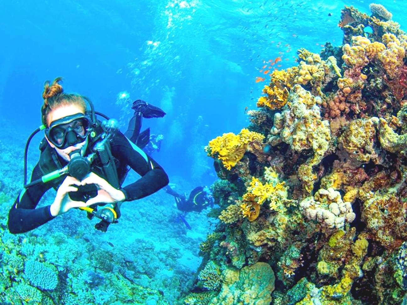 Sahl Hasheesh: Diving or Snorkeling Boat Trip with Lunch