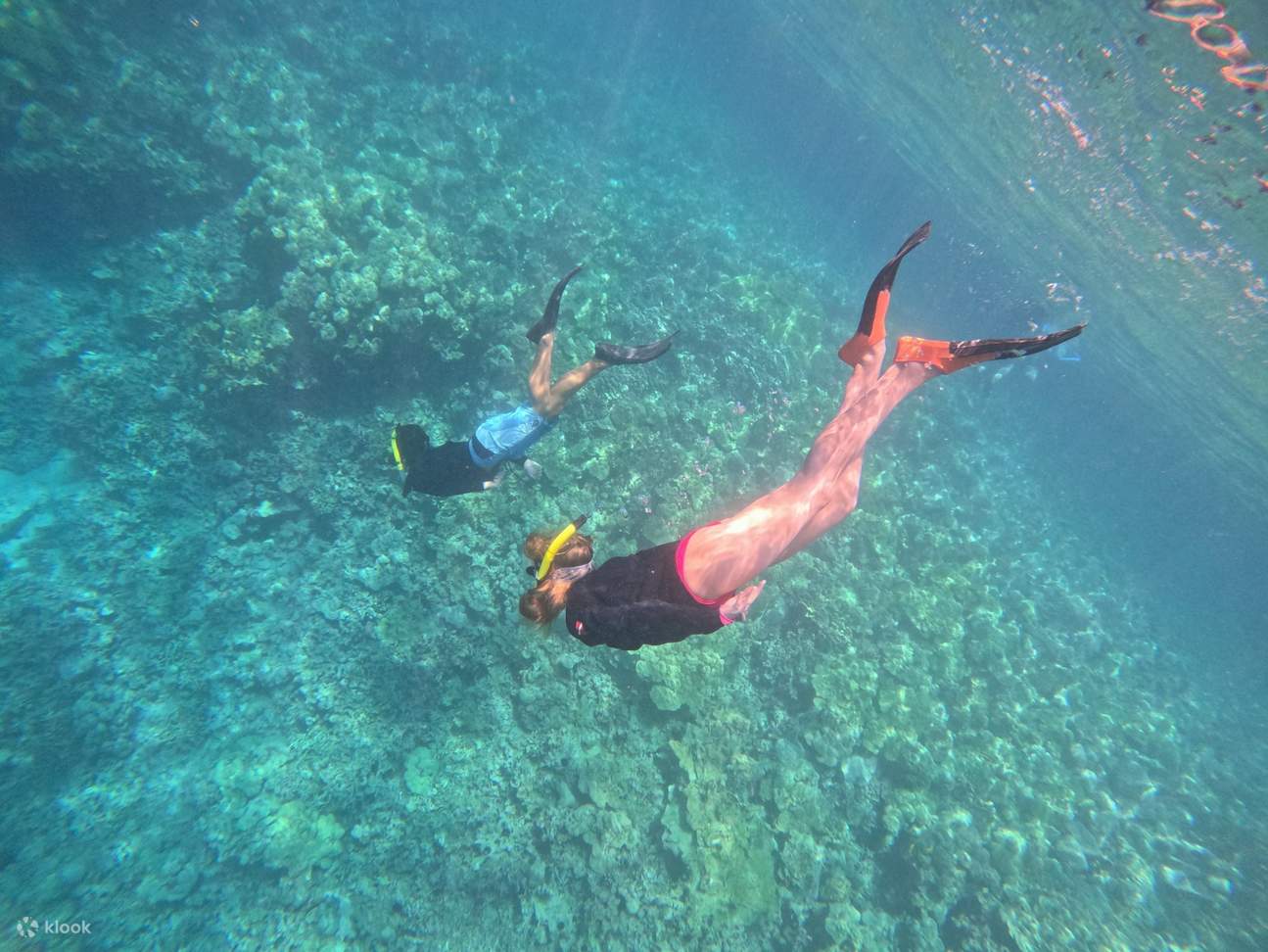 La primera parada de esnórquel revela vibrantes jardines de coral repletos de vida marina tropical