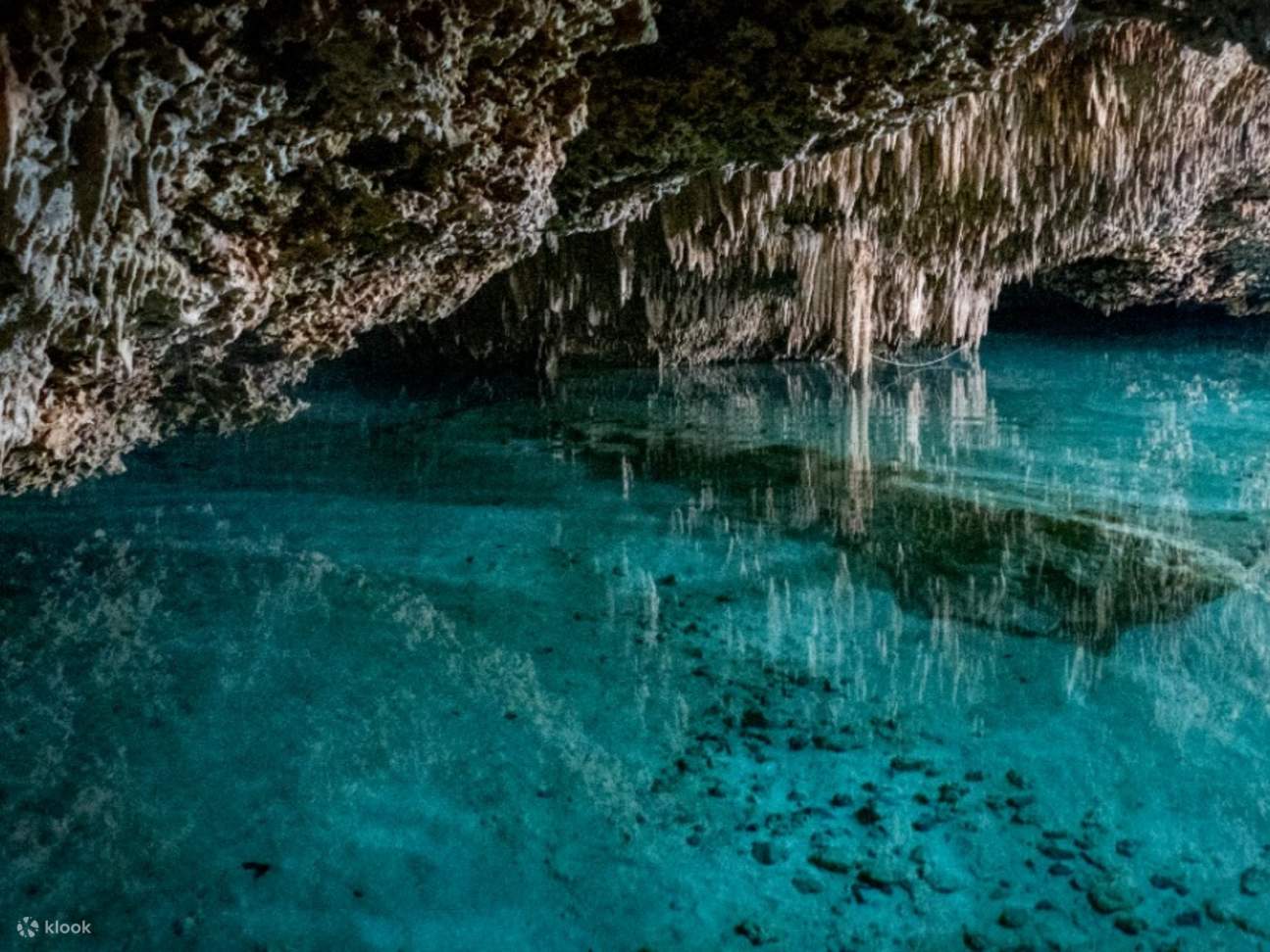 Tham gia chuyến phiêu lưu bằng xe ATV và bơi lội ở Cenote tại Mexico