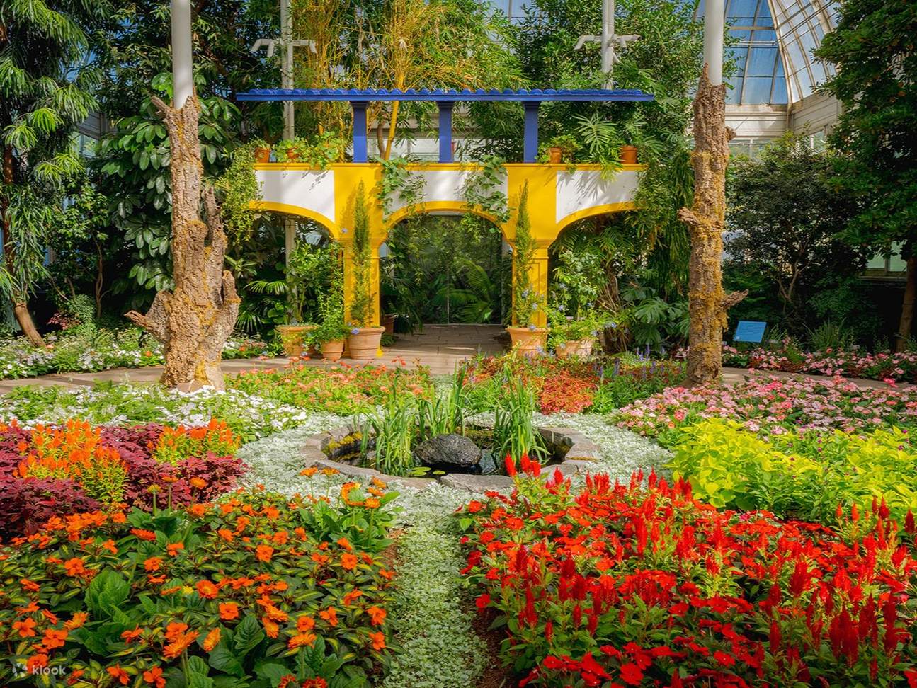 로맨틱한 분위기가 가득한 록펠러 장미 정원에서 만개한 아름다운 장미를 감상하고, 인생 사진을 남겨보세요.