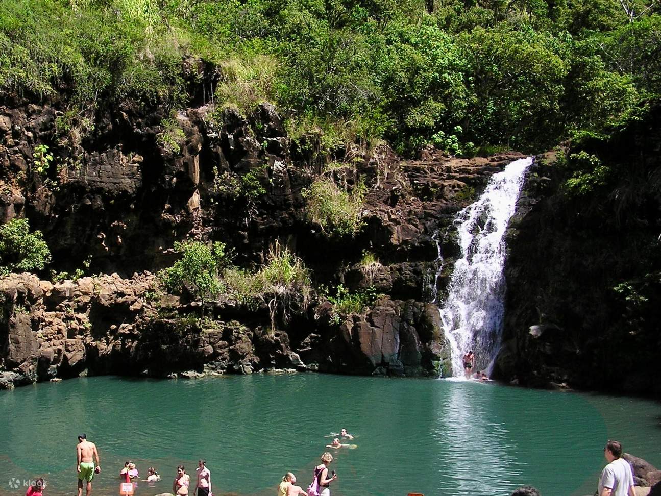 Hawaii: Halbe Inselrundfahrt + North Shore Tour - Klook, Vereinigte Staaten