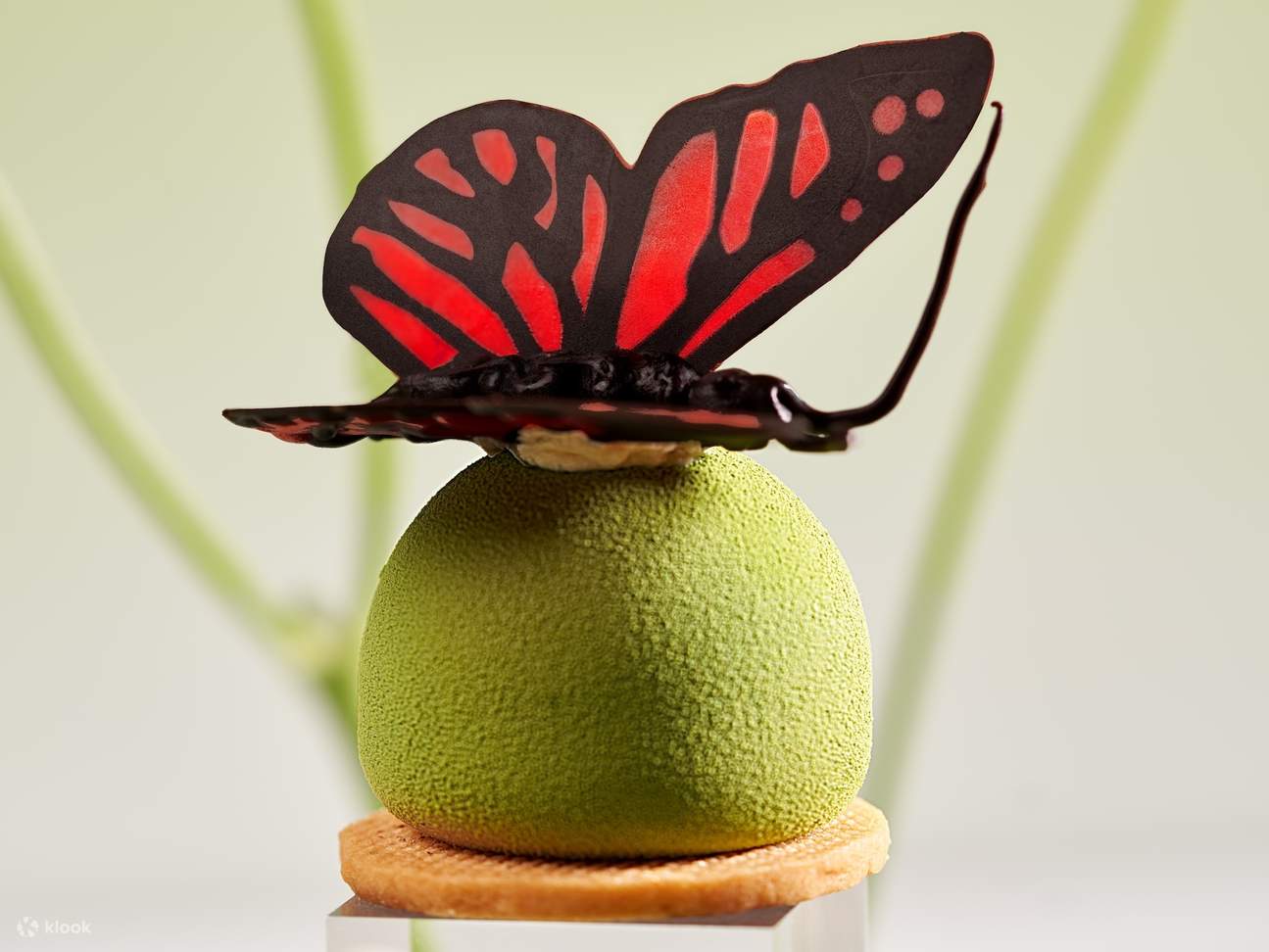 岘港 Novotel Danang Premier Han River 酒店下午茶体验