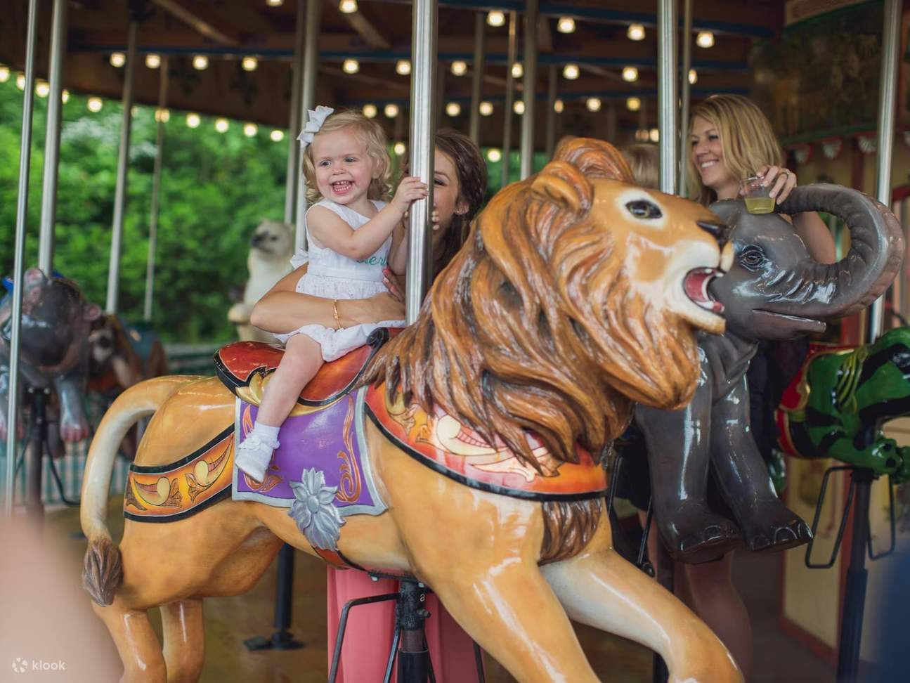 Nashville Zoo Fast Track Ticket