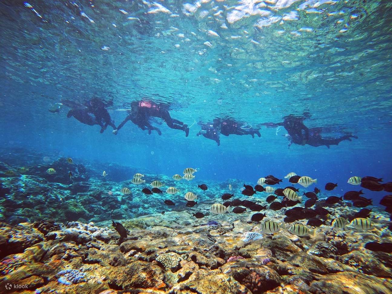 Đoàn khách du lịch