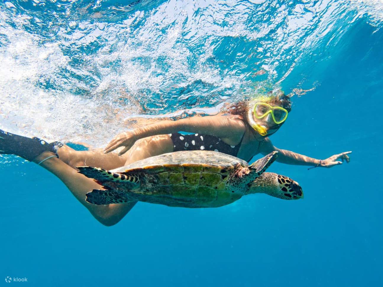 Excursion de plongée en apnée aux îles Hamata et Qulaan avec déjeuner et transfert - Marsa Alam