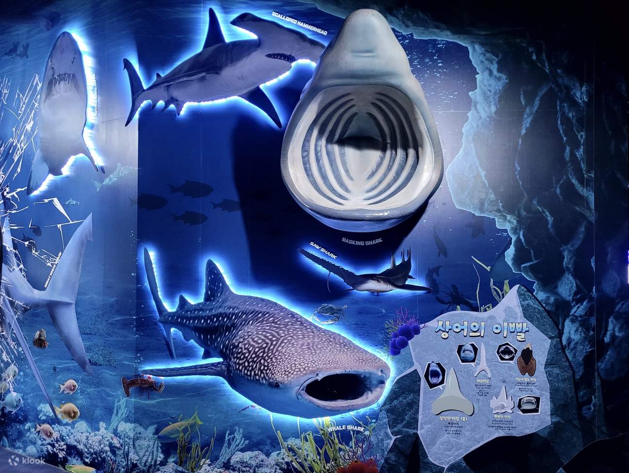 樂天世界水族館